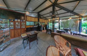 dji_fly_20230707_064514_21_1688811872934_pano