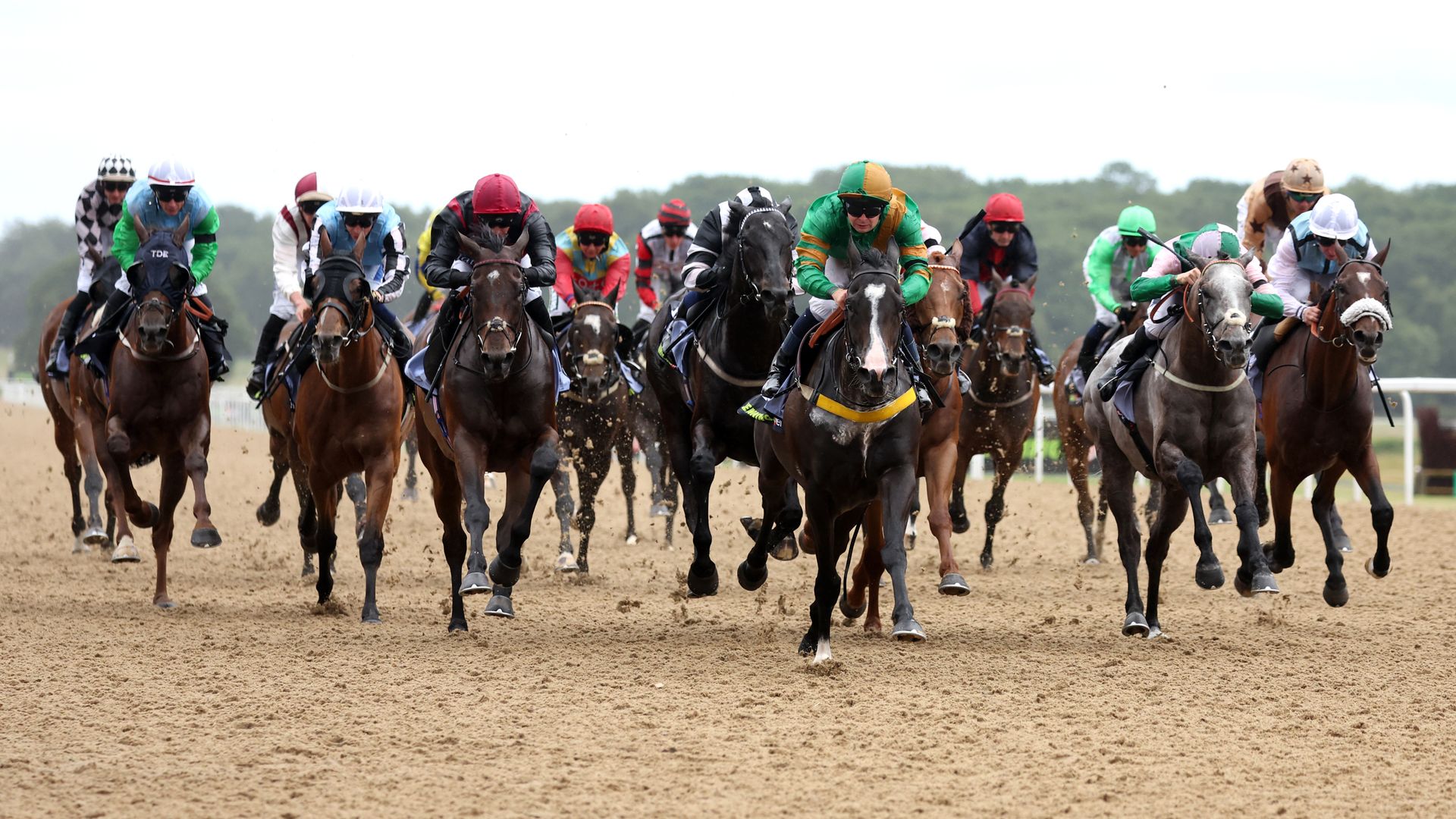 Southwell, Newcastle and Bath host Friday racing